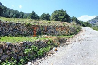 Terreno en venta en Callosa d´En Sarrià
