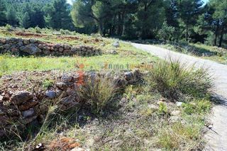 Terreno en venta en Callosa d´En Sarrià