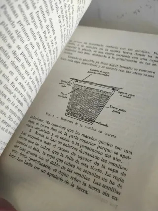 Plantas de balcón e interior,de Noel Clarasó