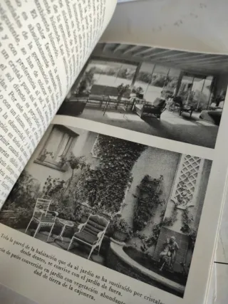 Plantas de balcón e interior,de Noel Clarasó