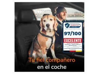 Forros de asiento para coche (2 unidades)