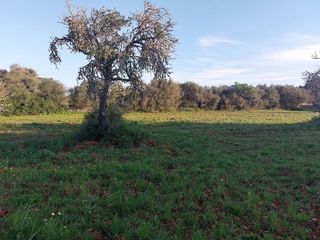 Terreno en venta en Muro