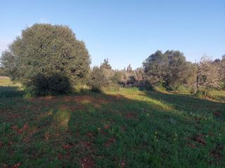 Terreno en venta en Muro