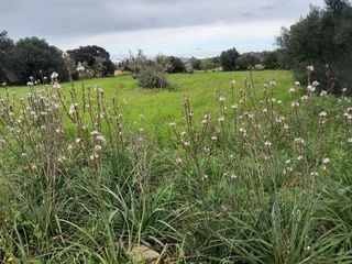 Terreno en venta en Muro