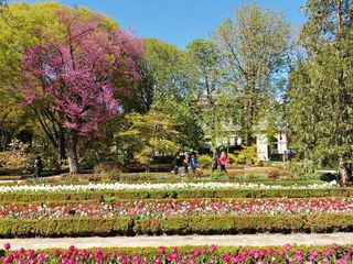 Piso en alquiler en Cortes - Huertas en Madrid