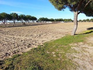 Terreno en venta en Cubas de la Sagra