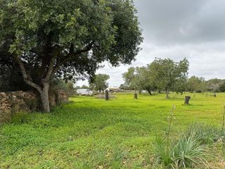 Solar en venta en Llucmajor Interior en Llucmajor