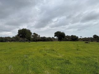 Solar en venta en Llucmajor Interior en Llucmajor