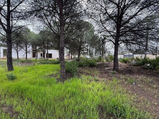 Terreno en venta en Aljaraque