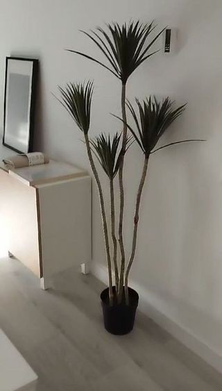 Piso en alquiler en Palma - Palmilla en Málaga