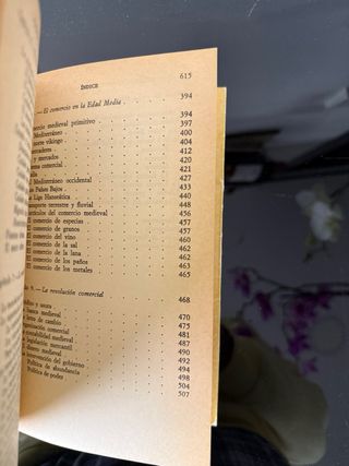 historia económica de la Europa medieval N J G Pou