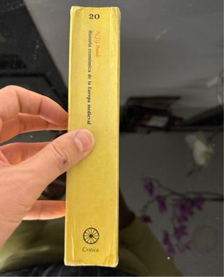 historia económica de la Europa medieval N J G Pou