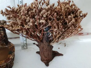 Fontanella e albero presepe.