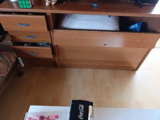 Cama nido (dos camas y colchón) y demás mobiliario