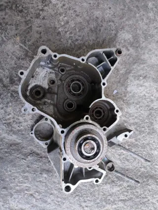 Carter Izquierdo Motor AM6