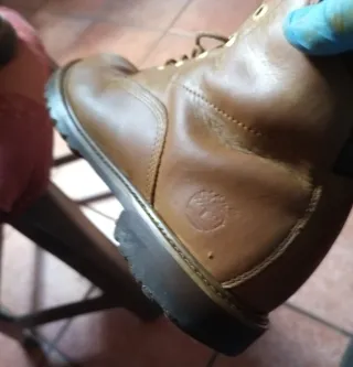 Scarponcini Timberland Beige/Marrone