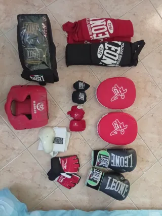 Attrezzatura Leone: Protezione testa e fasce