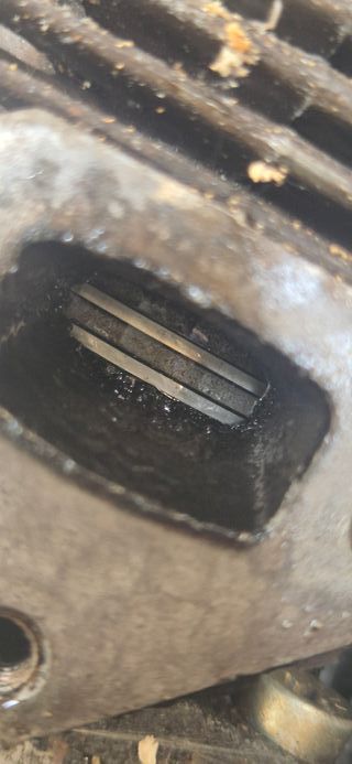 Desbrozadora Stihl FR 106