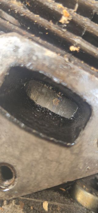 Desbrozadora Stihl FR 106