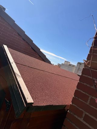 Caseta de jardín de madera y metal