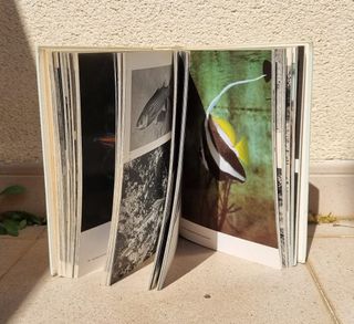 Gran enciclopedia Ilustrada de los Peces