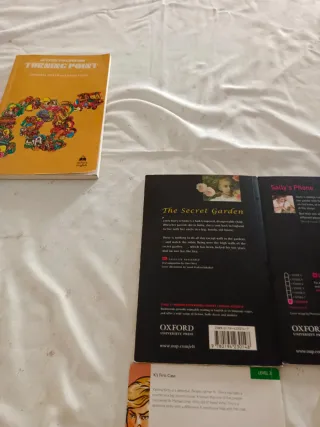 Lote varios libros de inglés lectura  The Secret