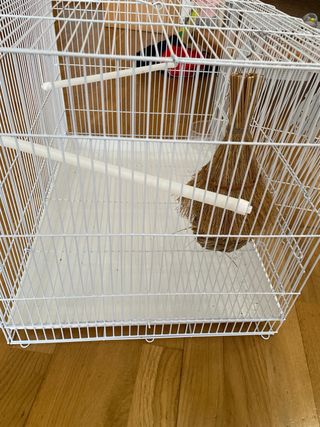 Jaula para pájaros blanca