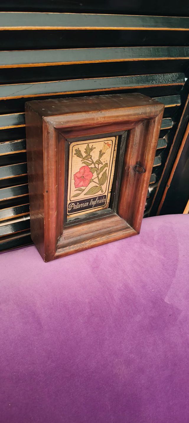 Pintura Petunia hybrida en madera