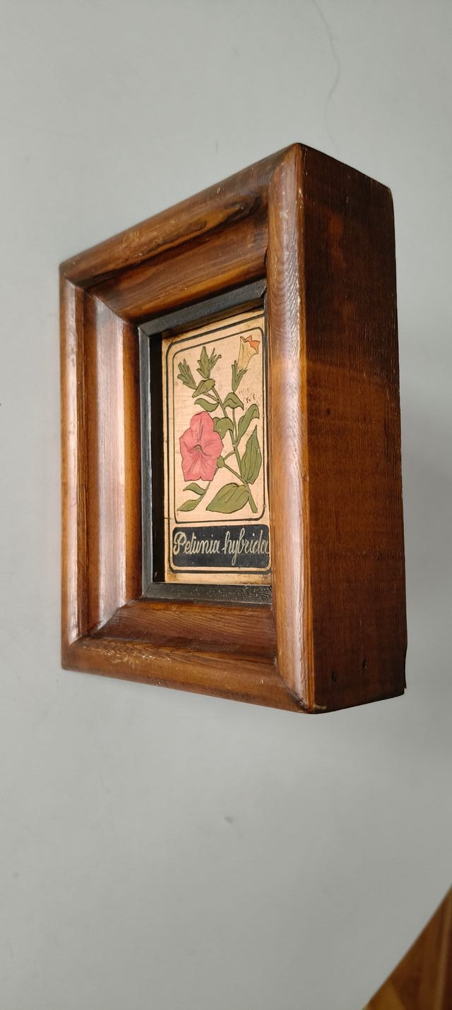 Pintura Petunia hybrida en madera