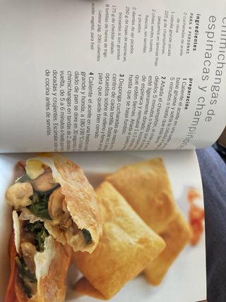 Cocina mexicana - mas de 100 irresistibles recetas