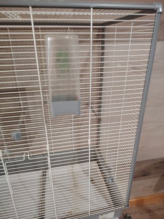 Jaula para aves mod. 001616B
