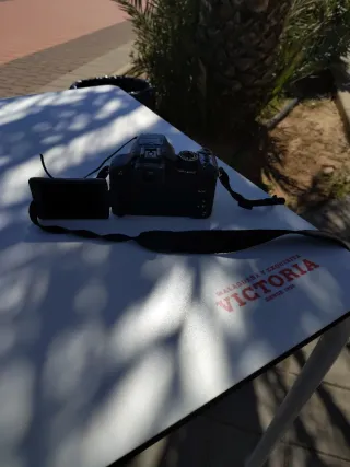 Fotocamera Panasonic Lumix FZ100