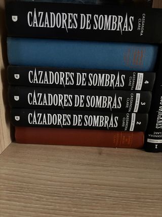 Saga Cazadores de Sombras