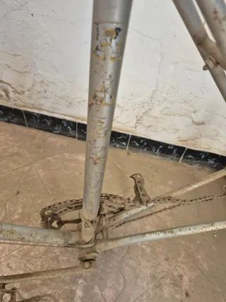 Cuadro Bicicleta RAZESA Antigua