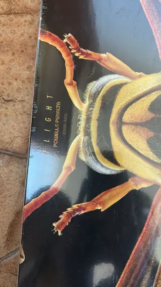 Tabla Skate Powell Peralta Fibra Carbono