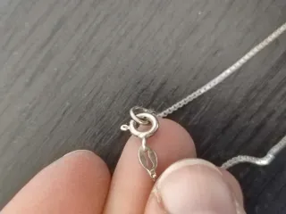 Colgante y Cadena Plata 925