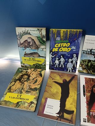 Lote 10 libros, cuentos, novelas juveniles