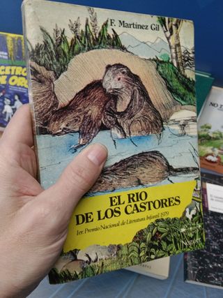 Lote 10 libros, cuentos, novelas juveniles