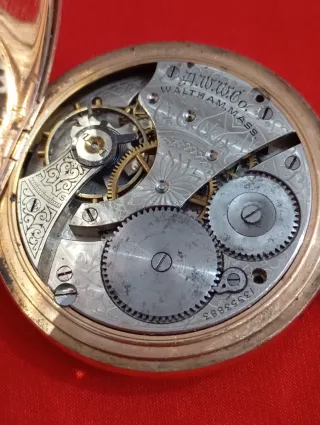 Waltham 1904 Tres Tapas