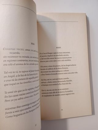 Cien sonetos de amor