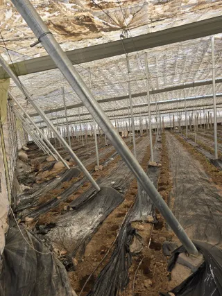 Invernadero 3400 m2 nuevo tubo