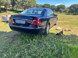 Mercedes-Benz Clase E 2006