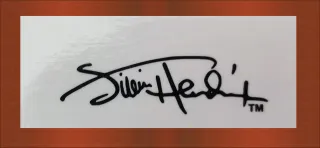 Fender Stratocaster Custom Shop Head Logo