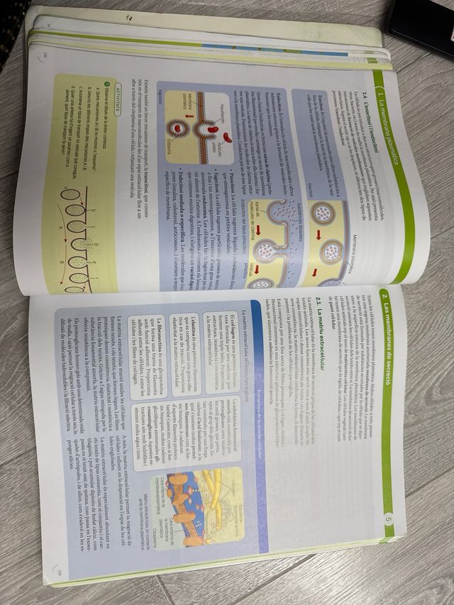 BIOLOGIA 1 BTX CONSTRUINT MONS