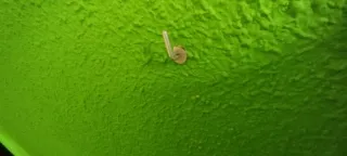Cabecero de cama de madera