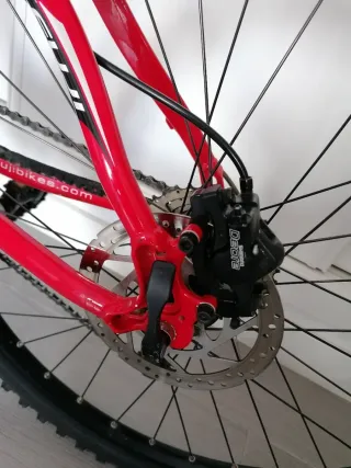 Bicicleta de Montaña