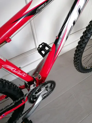 Bicicleta de Montaña