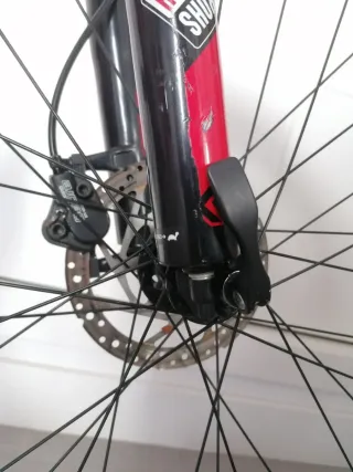 Bicicleta de Montaña