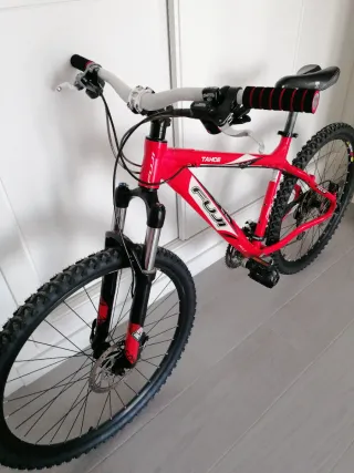 Bicicleta de Montaña