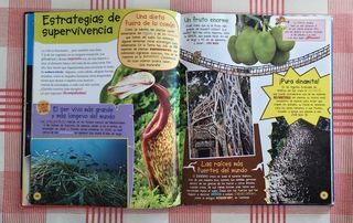 Geronimo Stilton curiosidades: ¿Sabías que...?